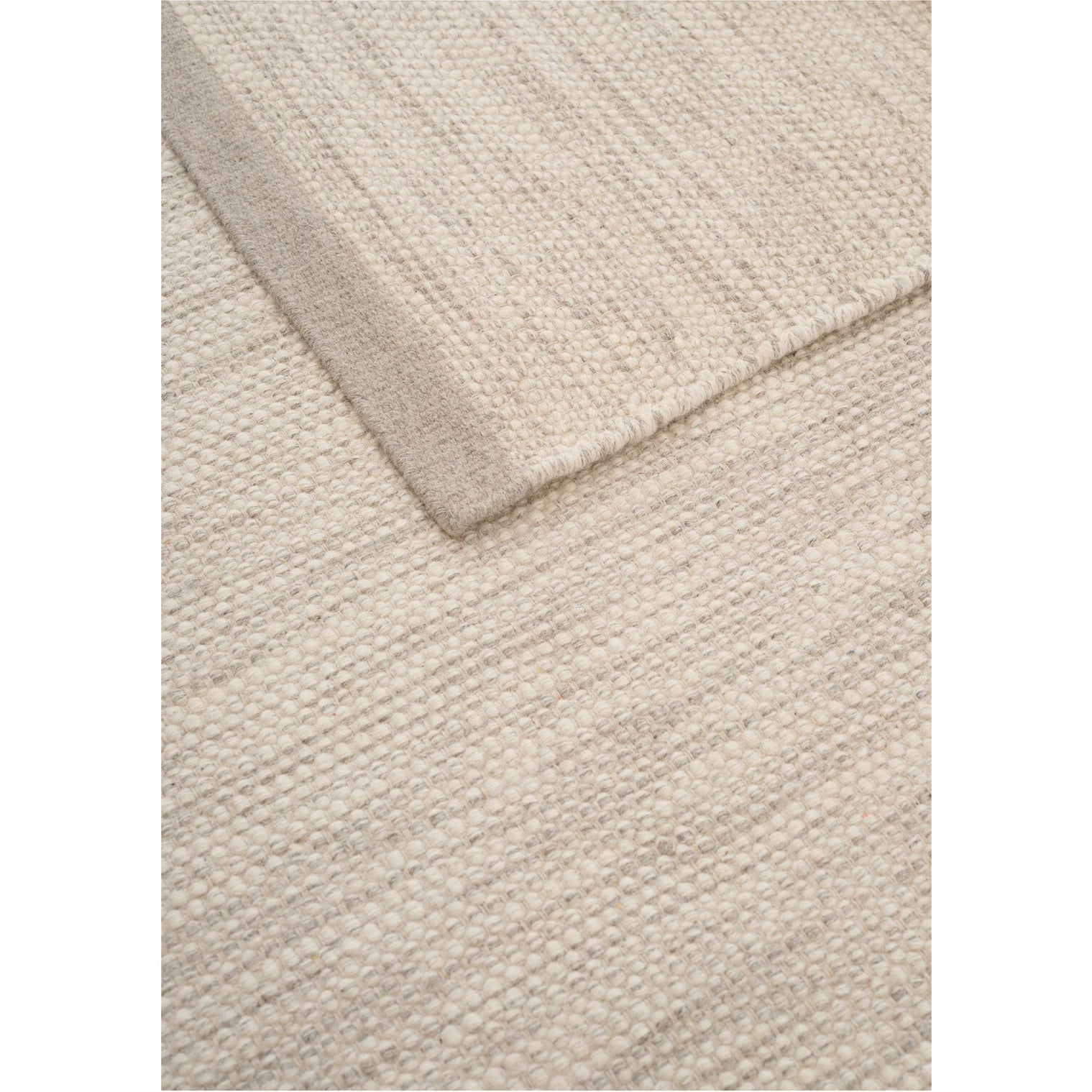 Line Design - ASKO Carpet Iron