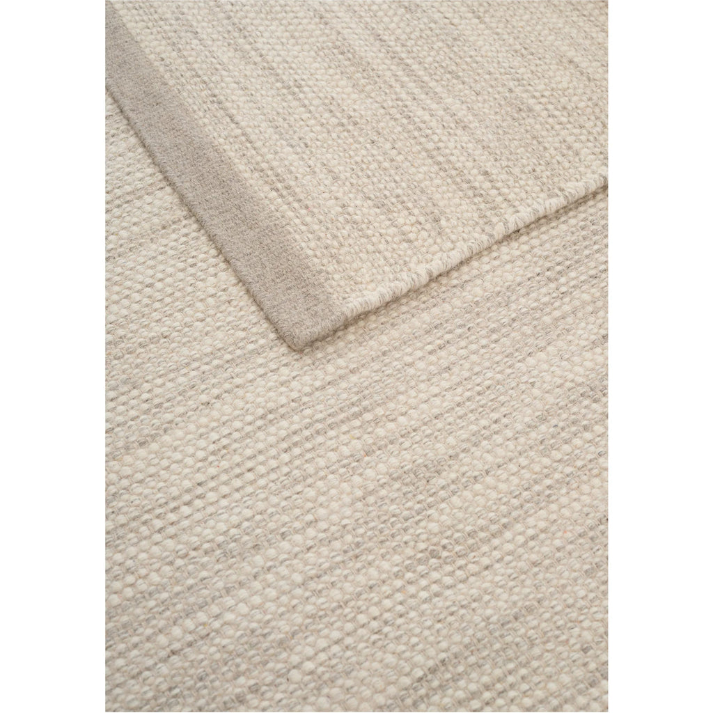 Line Design - ASKO Carpet Iron