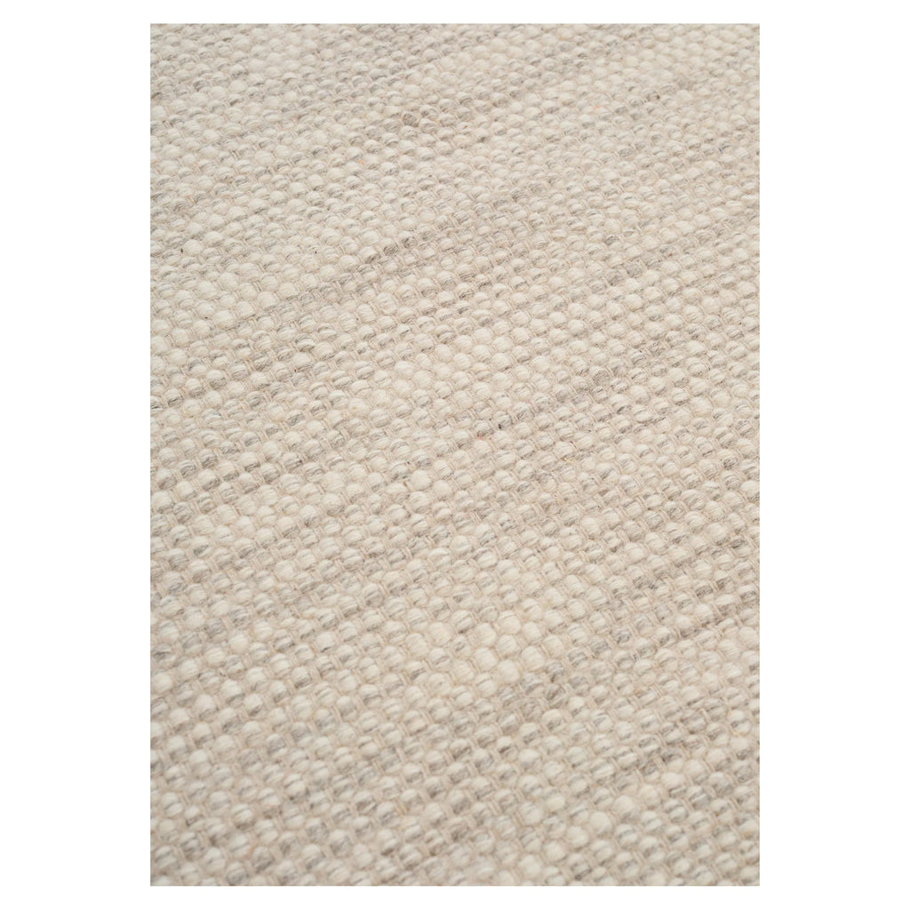 Line Design - ASKO Carpet Iron