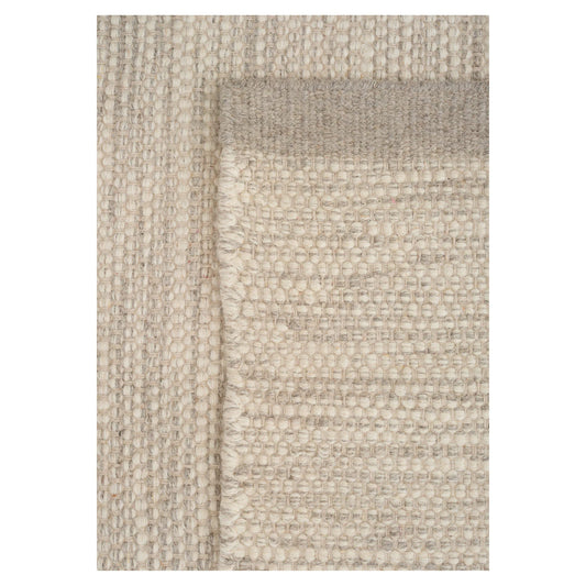 Line Design - ASKO Carpet Iron