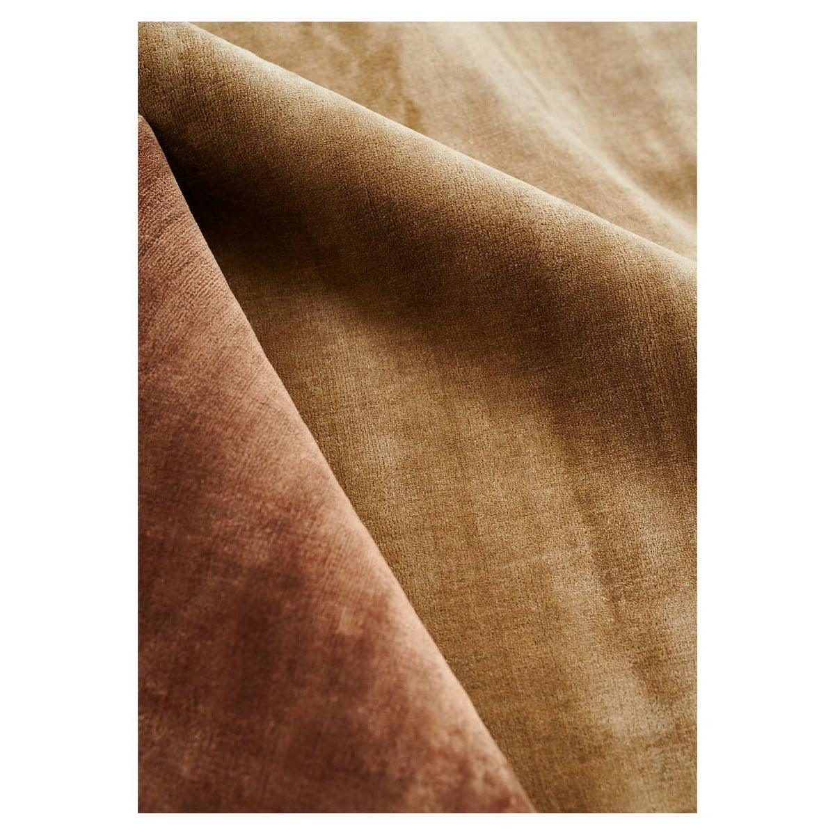 Line Design - LUCENS Rug Amber