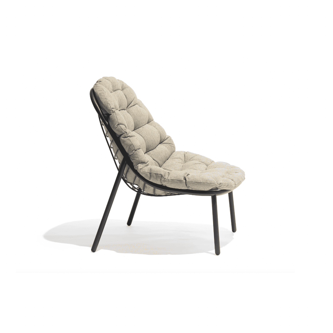 Todus - Albus Armchair