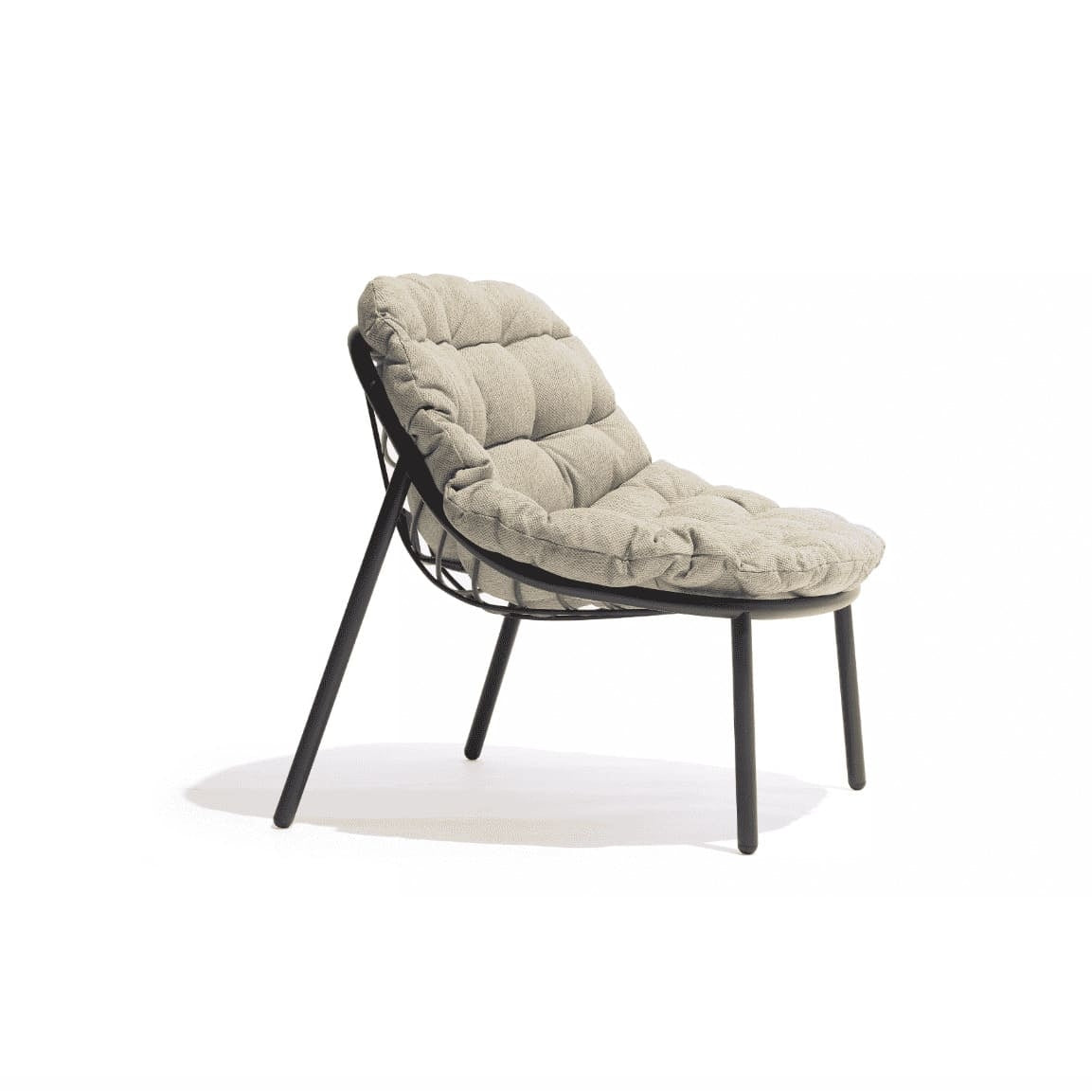 Todus - Albus Armchair Low