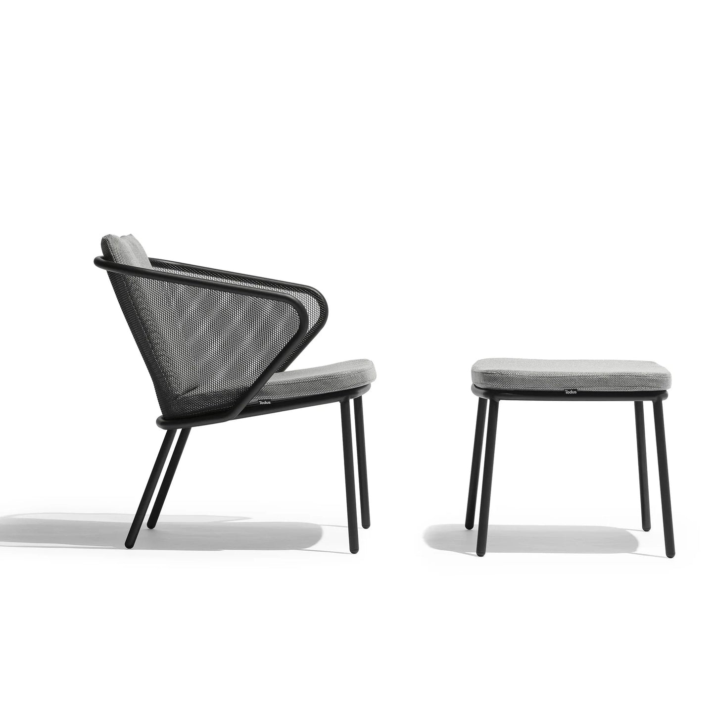 Todus - Condor Lounge Chair