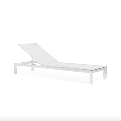 Todus - Leuven Liege stackable