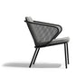 Todus - Condor Lounge Chair