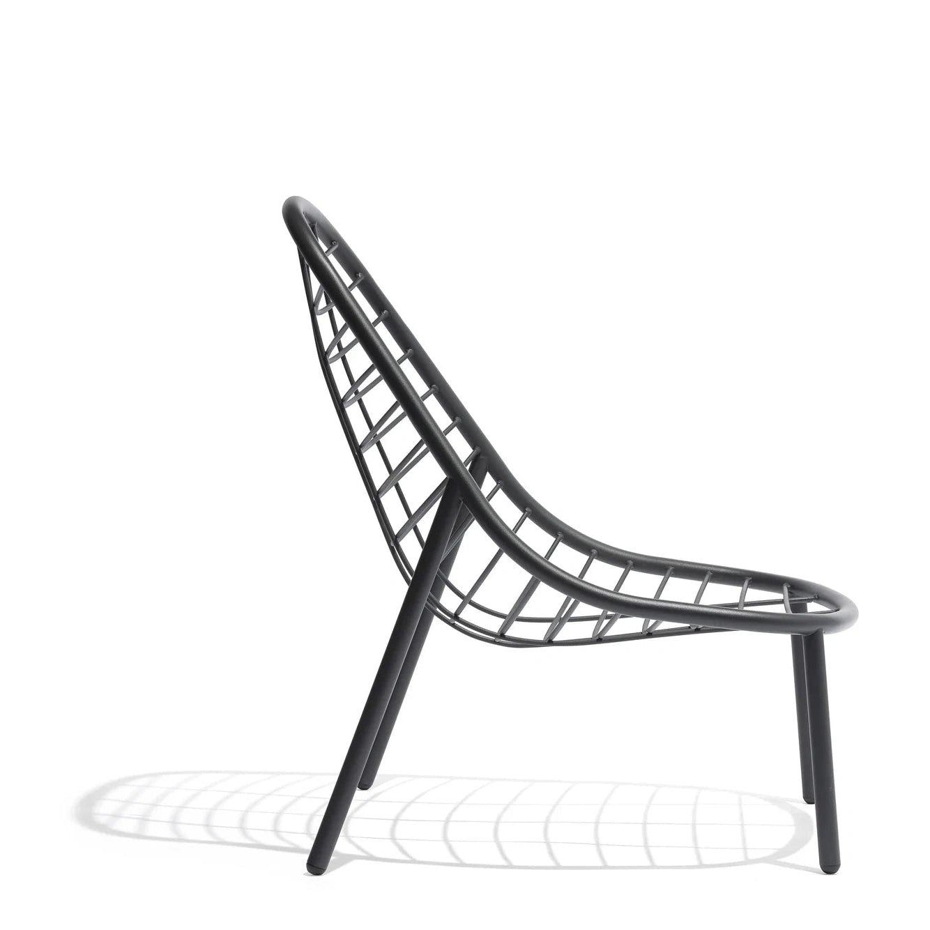 Todus - Albus Armchair