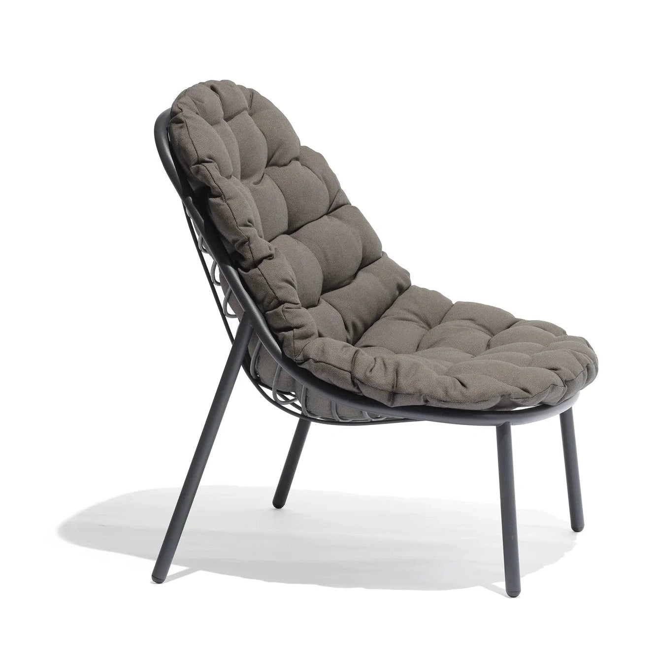 Todus - Albus Armchair