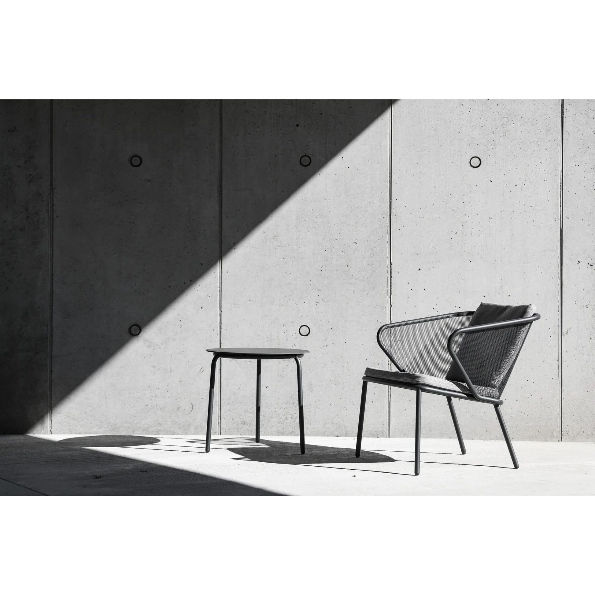 Todus - Condor Lounge Chair