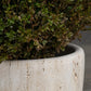 VELTHA® - ATRIUM Round Garden Vase made of Travertine