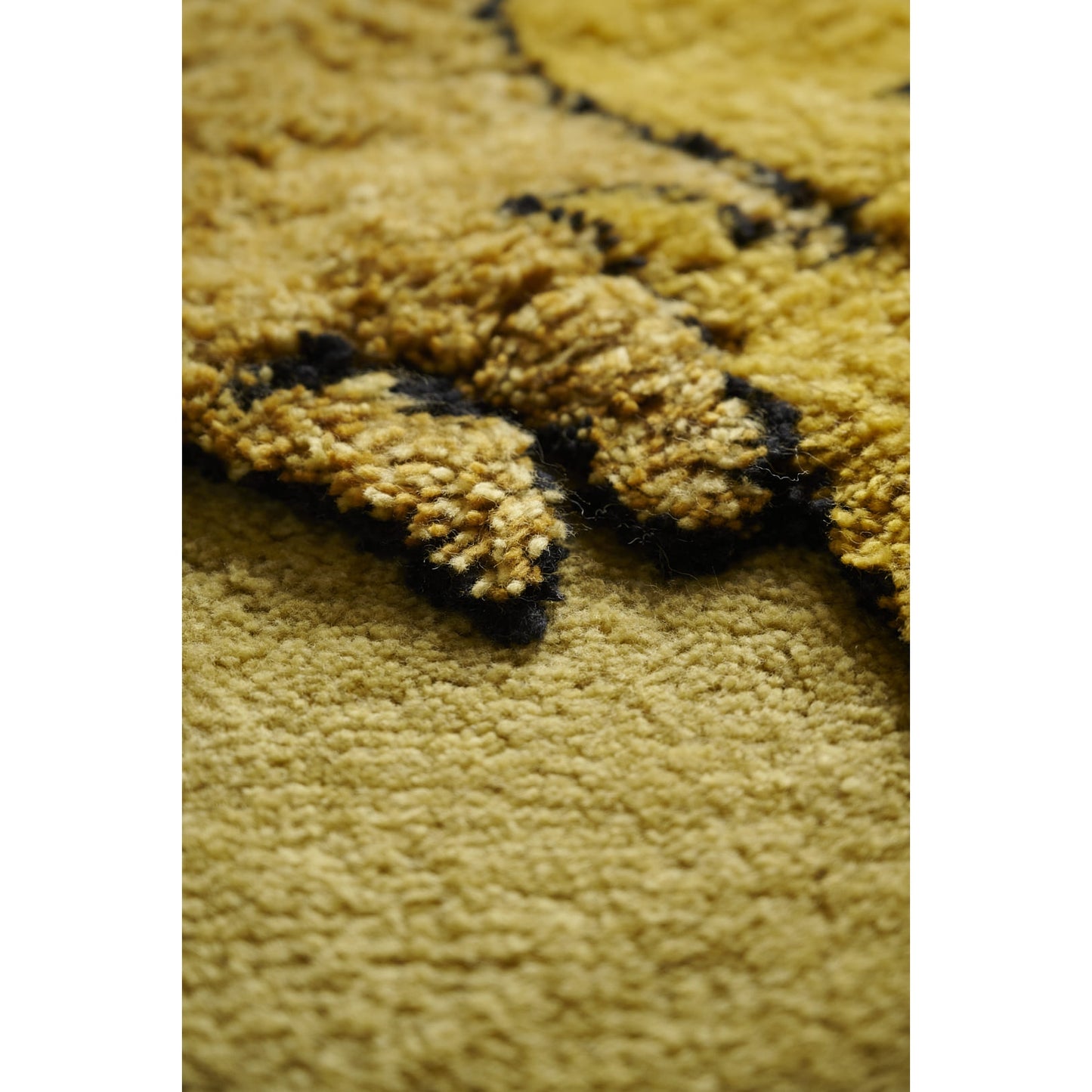 Amini - Tapileo Rug Roberto Gabetti and Aimaro Isola