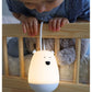 Hanging Night Light with Remote