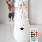 Hanging Night Light with Remote