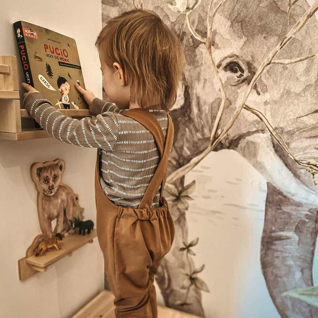 Mini Wall Shelf - Lion