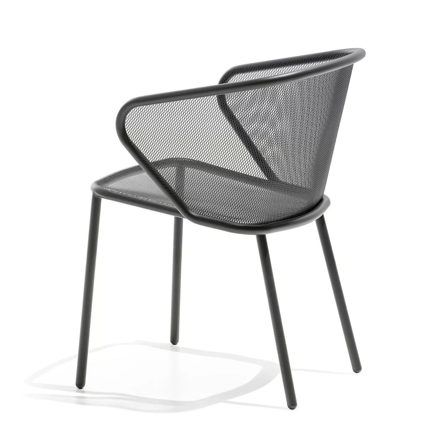 Todus - Condor Armchair