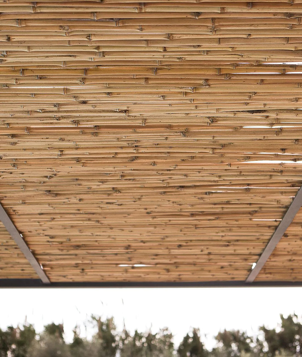 Unopiu - Shibuya mobile pergola