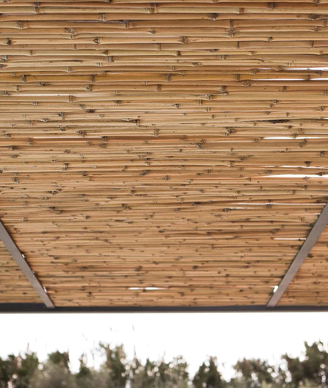 Unopiu - Shibuya mobile pergola
