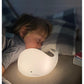 Whale Silicone Lamp with Remote